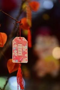 ví điện tử QH88